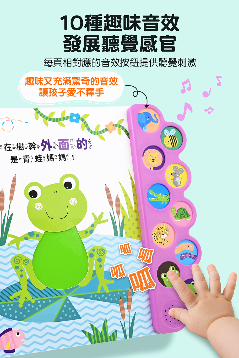 感官觸摸毛毛有聲書 感官觸摸毛毛有聲書